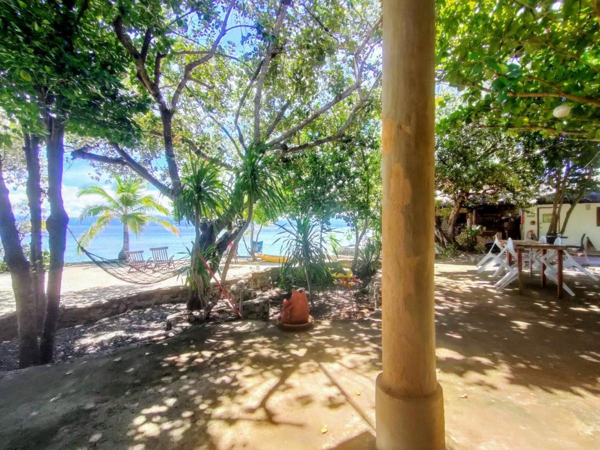 Moalboal T Breeze Coastal Resort Extérieur photo