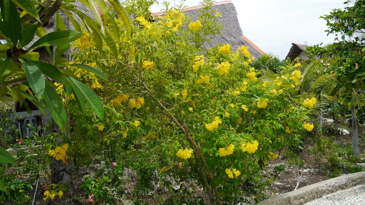 Moalboal T Breeze Coastal Resort Extérieur photo